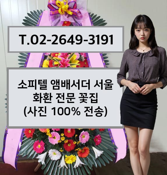 소피텔 앰배서더 서울 전경